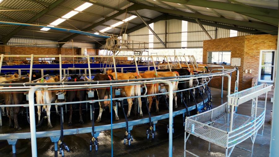 0 Bedroom Property for Sale in Stutterheim Rural Eastern Cape